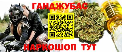 индика Пенза