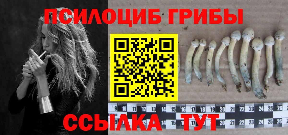 Псилоцибиновые грибы мицелий Советский