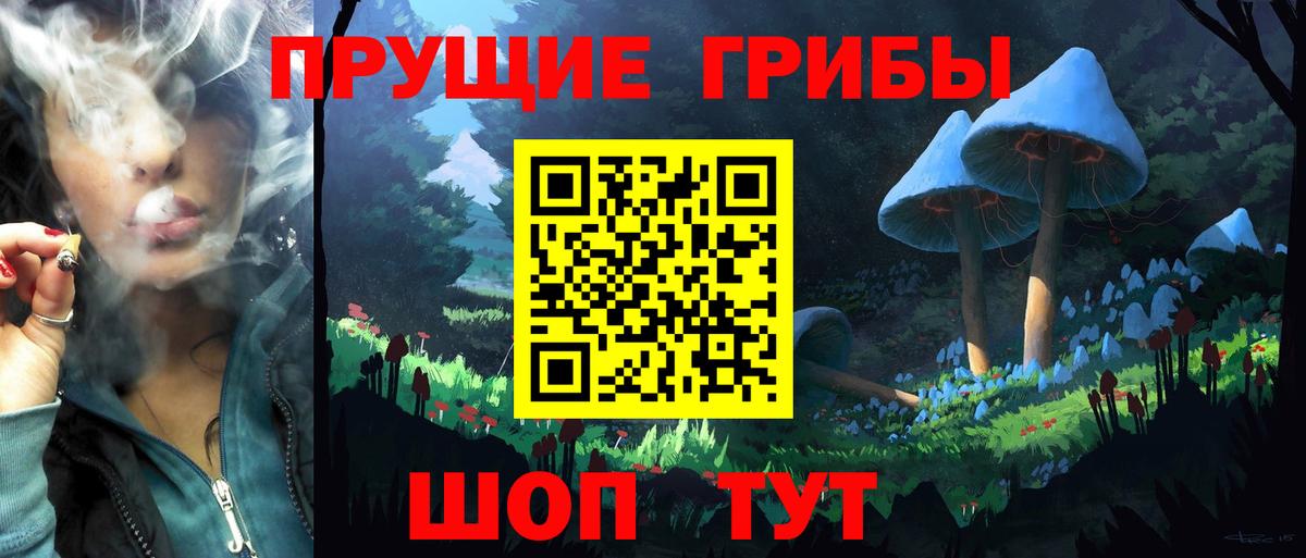 Псилоцибиновые грибы MAGIC MUSHROOMS  Вход с VPN  Советский 
